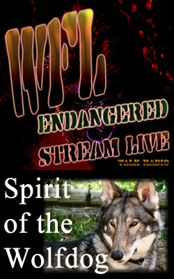 Spriti of the Wolfdog